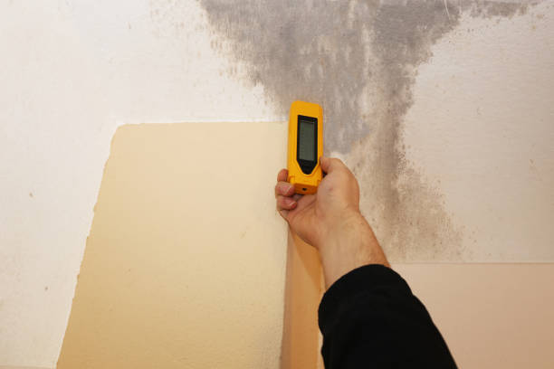 Environmental Consulting for Mold Prevention in Connersville, IN