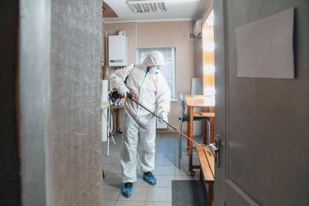 Best Mold Removal for HVAC Installations  in Connersville, IN