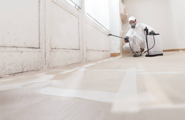 Mold Documentation for Insurance Claims in Connersville, IN
